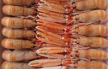 Marisco fresco